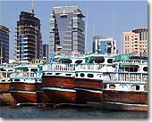 Dhows Galore
